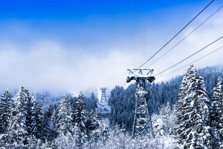 High-voltage power lines and a transmission tower in a snowy winter landscape with a forest and mountain in the background.